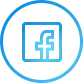 Facebook Live Feed Icon