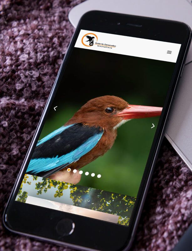 conservation-banner-2